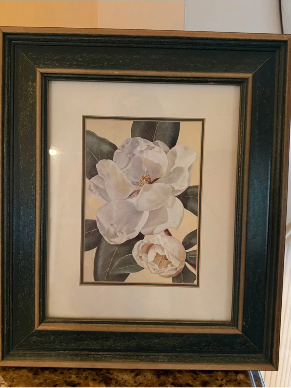 Pier 1 Framed Botanical Magnolia Print in Dark Green Frame, Double Matted, 11x14